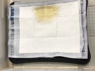 yesr2님이 올린 리뷰 사진 3