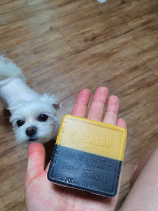 뽀오오옹님이 올린 리뷰 사진 1