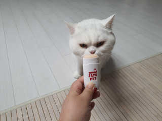 [레드허니밤]자유펫 고양이 강아지 발바닥 밤 14g — 5점을 준 리뷰어가 2020년 7월 올린 사용 사진