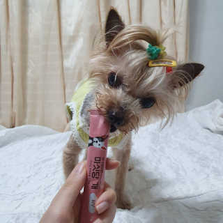 솜희님이 올린 리뷰 사진 3