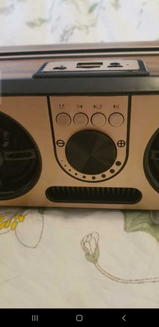 SEVIZ RETRO20W 레트로 블루투스 스피커 — 5점을 준 리뷰어가 2020년 7월 올린 사용 사진