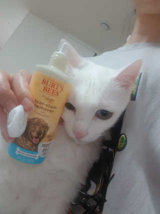대박이님이 올린 리뷰 사진 4