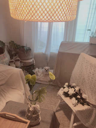 designerjoo님이 올린 리뷰 사진 1
