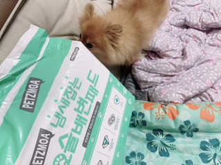 이대현님이 올린 리뷰 사진 1