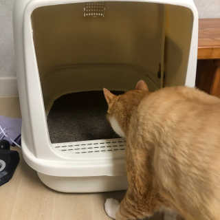 악악님이 올린 리뷰 사진 2