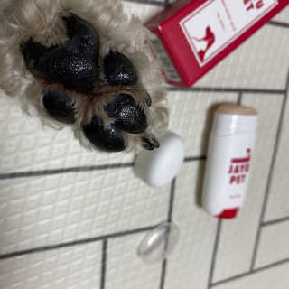 [레드허니밤]자유펫 고양이 강아지 발바닥 밤 14g — 5점을 준 리뷰어가 2020년 7월 올린 사용 사진