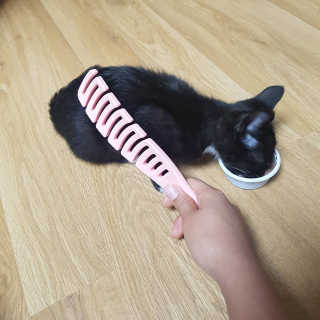 또히츄님이 올린 리뷰 사진 4