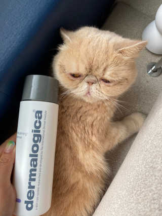망나니집사님이 올린 리뷰 사진 1