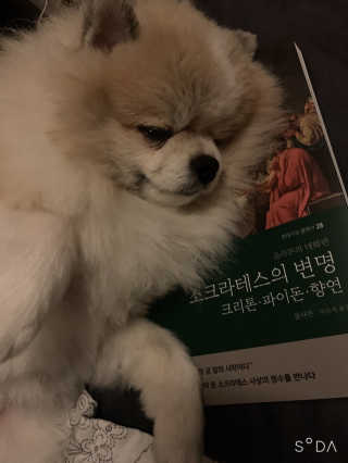 현대지성 소크라테스의 변명·크리톤·파이돈·향연 — 5점을 준 리뷰어가 2020년 4월 올린 사용 사진