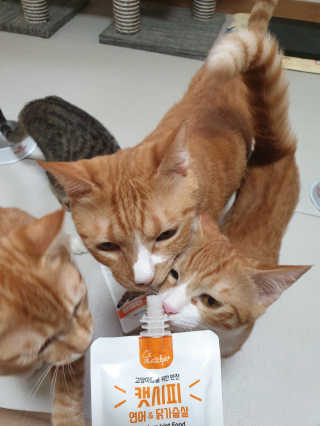 5냥2멍님이 올린 리뷰 사진 3