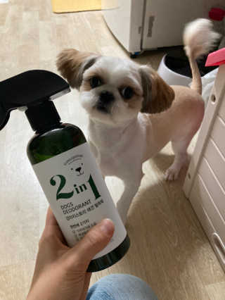 은서맘93님이 올린 리뷰 사진 1