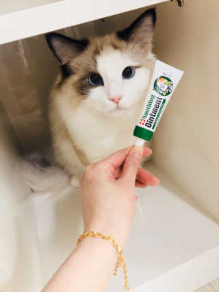 금동어멈님이 올린 리뷰 사진 2