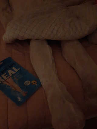 딸맘👧님이 올린 리뷰 사진 3