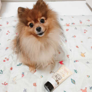 은선이짱님이 올린 리뷰 사진 2