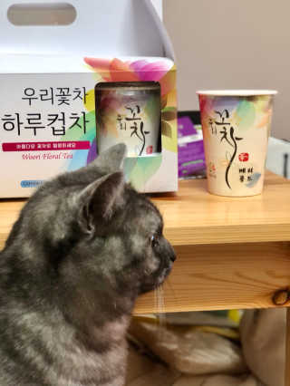 지연님이 올린 리뷰 사진 2