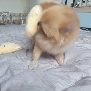 🌷 킴블리 🌷님이 올린 리뷰 사진 3