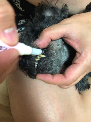 Criss님이 올린 리뷰 사진 4