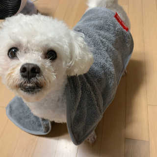 설량님이 올린 리뷰 사진 4