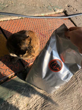 이승진님이 올린 리뷰 사진 4