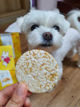 뽀오오옹님이 올린 리뷰 사진 2