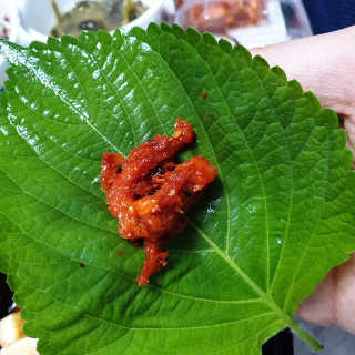 JHSCOLOR님이 올린 리뷰 사진 2
