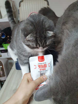 효성님이 올린 리뷰 사진 2