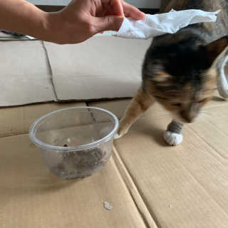 퐝님이 올린 리뷰 사진 4