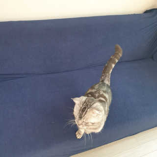 이째님이 올린 리뷰 사진 4