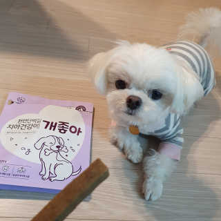 My Pet Care 천연단백질 치아건강에 개좋아 — 5점을 준 리뷰어가 2020년 12월 올린 사용 사진