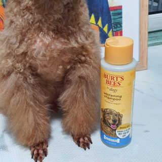 김이설님이 올린 리뷰 사진 2