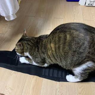 영이님이 올린 리뷰 사진 3