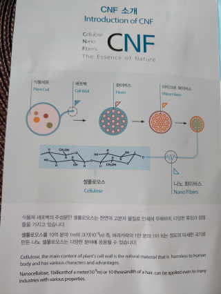 내추럴프렌드 아쿠아 에센셜 썬크림 — 3점을 준 리뷰어가 2020년 9월 올린 사용 사진