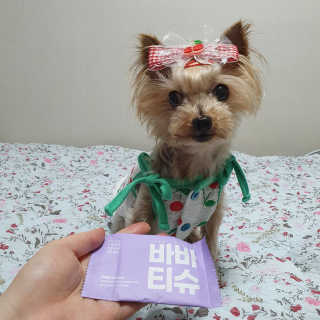 솜희님이 올린 리뷰 사진 3