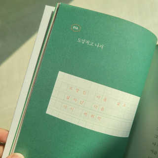 먼디님이 올린 리뷰 사진 4