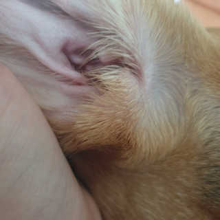 beaglelove님이 올린 리뷰 사진 3