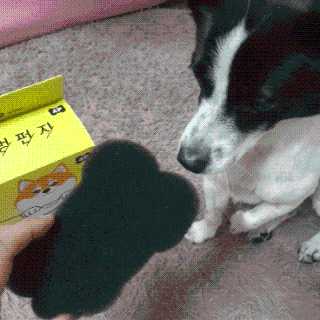 노이님이 올린 리뷰 사진 1