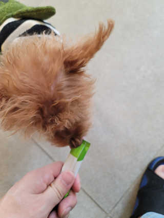 왕좌늼님이 올린 리뷰 사진 2