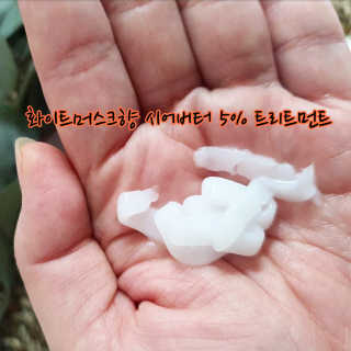 쁘띠피츄님이 올린 리뷰 사진 4