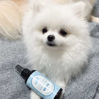 콩두부자매님이 올린 리뷰 사진 2