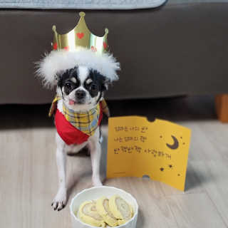 썽이mom앙꼬님이 올린 리뷰 사진 1