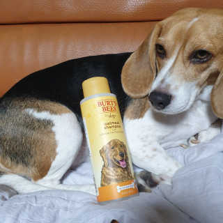 beaglelove님이 올린 리뷰 사진 1