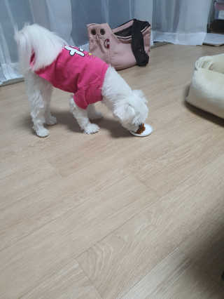 뽀오오옹님이 올린 리뷰 사진 4