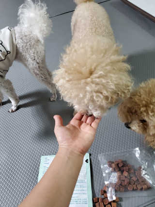 My Pet Care 천연단백질 눈건강에 개좋아 — 5점을 준 리뷰어가 2020년 11월 올린 사용 사진