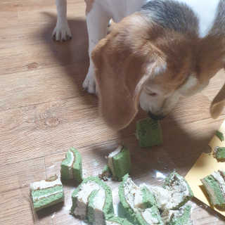 beaglelove님이 올린 리뷰 사진 4