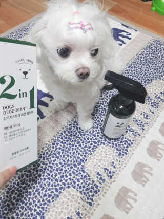 두부님이 올린 리뷰 사진 1