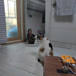코딱지님이 올린 리뷰 사진 4