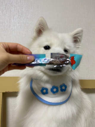 지수님이 올린 리뷰 사진 4