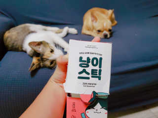 빵떡이이님이 올린 리뷰 사진 1