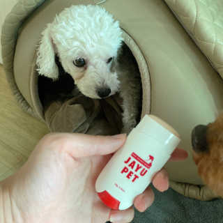 [레드허니밤]자유펫 고양이 강아지 발바닥 밤 14g — 5점을 준 리뷰어가 2020년 7월 올린 사용 사진