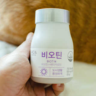 2019yaap님이 올린 리뷰 사진 3